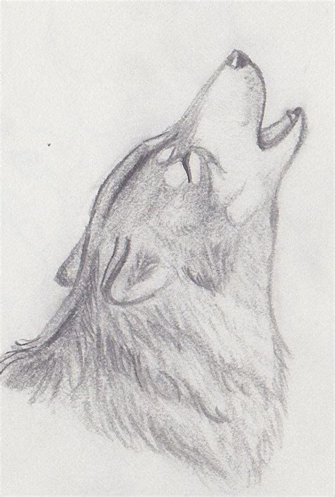 Howling Wolf Drawing Wolf Drawing Wolf Sketch Animal Drawings Sketches