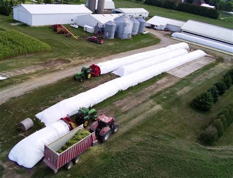 Boosting Dairy Production The Power Of Bagged Silage Powerpr