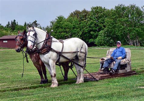 About Horse Pulling