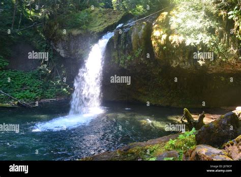 Waterfall In Mt Saint Helens Monument Stock Photo Alamy