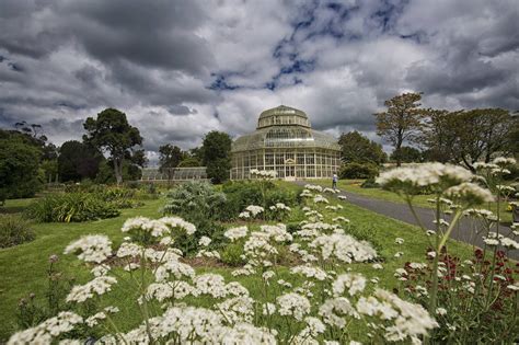 4 The National Botanic Gardens Brian Morrison Irelands Content Pool