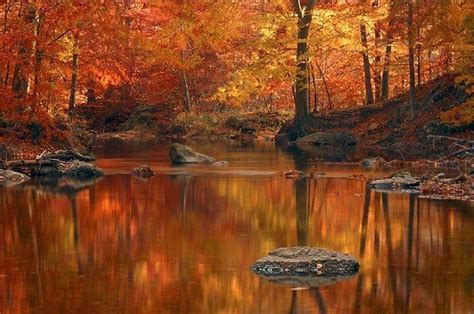 Fall Thanksgiving Wallpapers Wallpaper Cave