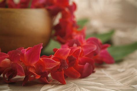 tinted orchid lei red flower leis