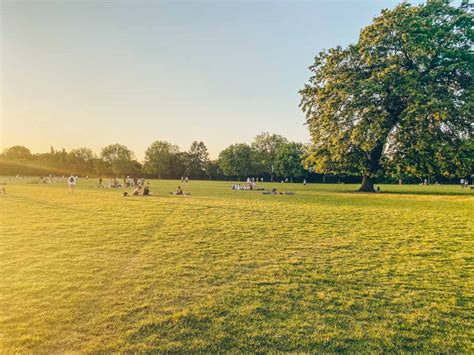 Dulwich Park An Insiders Guide — London X London