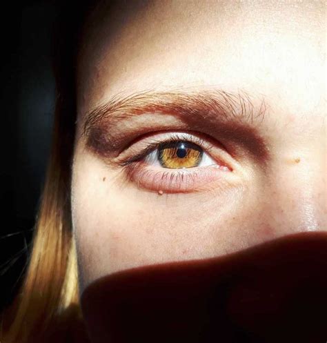 Skyrim, the глаза от абера / eyes of aber. Amber eyes | Honey eyes color, Amber eyes color, Beautiful ...