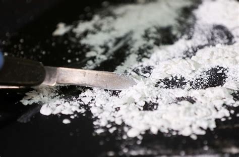 Drogen im Wert von 50 Millionen Euro: Zoll stellt 700 Kilo Kokain