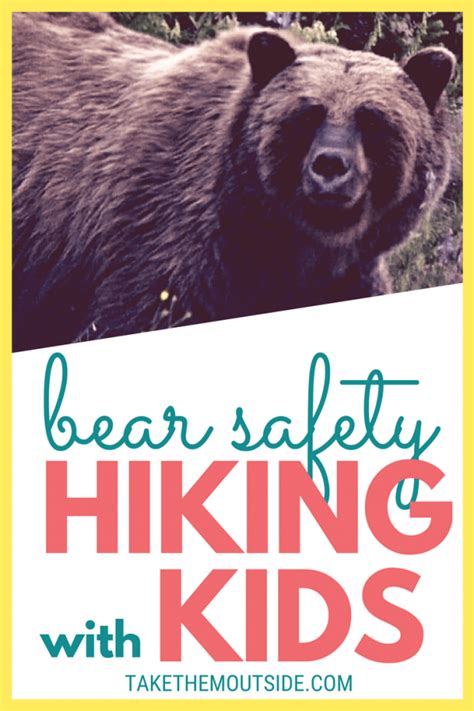 Bear Safety Tips You Need To Know For Families Bear Safety Hiking