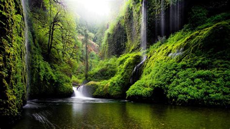 Spring Landscape Waterfall In Oregon Usa Nature River Water Trees