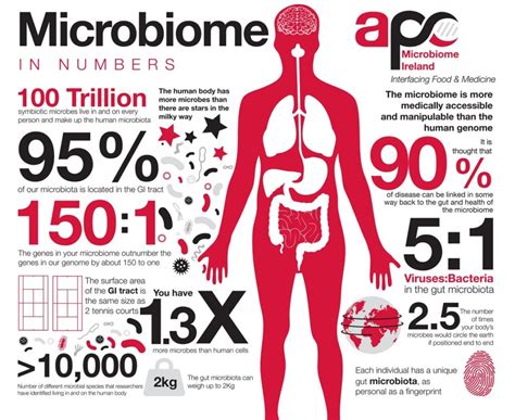 The Microbiome Improving Health Food Systems And Economic Prosperity