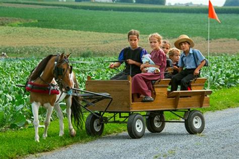 ~ Amish Pony Carts ~ Sarahs Country Kitchen ~ Photo By Donald Reese