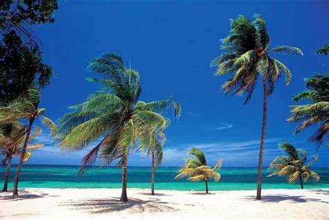 Las 8 Mejores Playas De Cuba Que No Debes Perderte