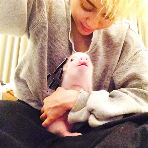 These Are The Most Exotic Pets Of Celebrities