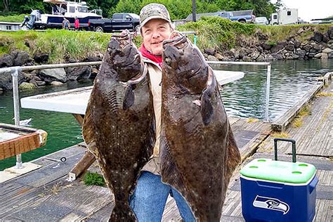 Outdoors Halibut Effort Likely To Rise Peninsula Daily News