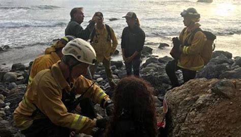California Woman Found Alive After Driving Off Big Sur Cliff Last Week Iheart