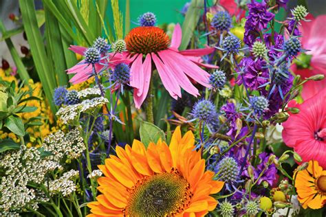 Free Images Color Botany Colorful Flora Wildflower Market Stall