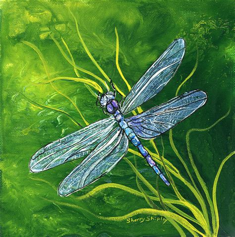 Dragonfly Painting By Sherry Shipley Pixels
