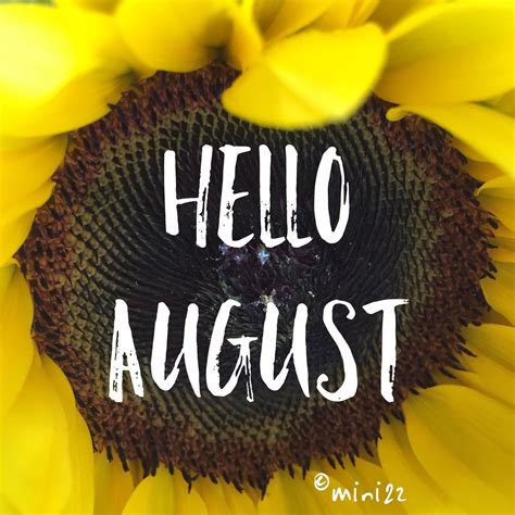 Hello August Sunflower Tap To See More August Wallpapers Mobile9