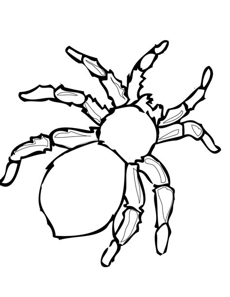 Halloween Spider Drawing Free Download On Clipartmag