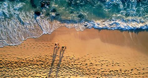 Aerial View Of Group Of People Enjoying At Beach Stock Video Footage