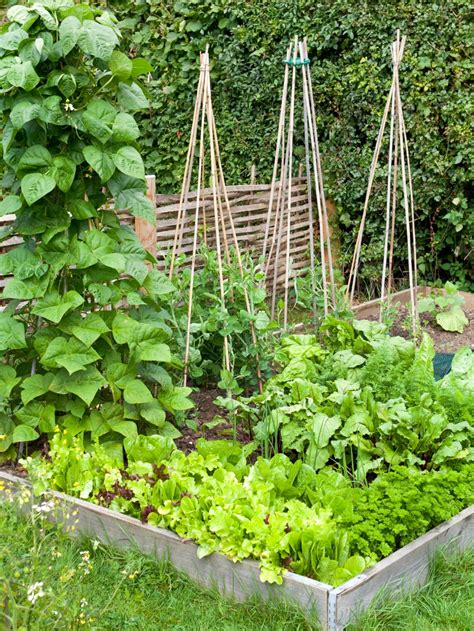The difference is that the former is set up above the ground. How to Build a Raised Vegetable Bed | HGTV
