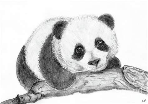 Baby Panda Painting By Sergey Lukashin
