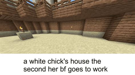 Minecraft Memes White Chicks  Minecraft Memes White Chicks