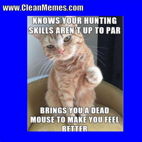 Who doesn't love some good cat memes to brighten up their day and make them laugh? Funny clean memes | NIFTY DIYS