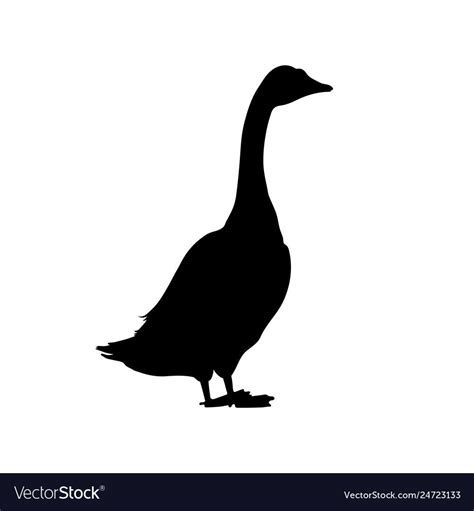 Black Silhouette Of Goose Isolated Image Vector Image On Vectorstock Silhouette Drawing Bird