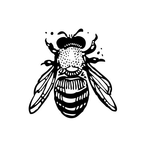 Black And White Bumble Bee Art Artzm