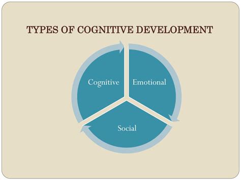 Cognitive Development Of Adult Learners