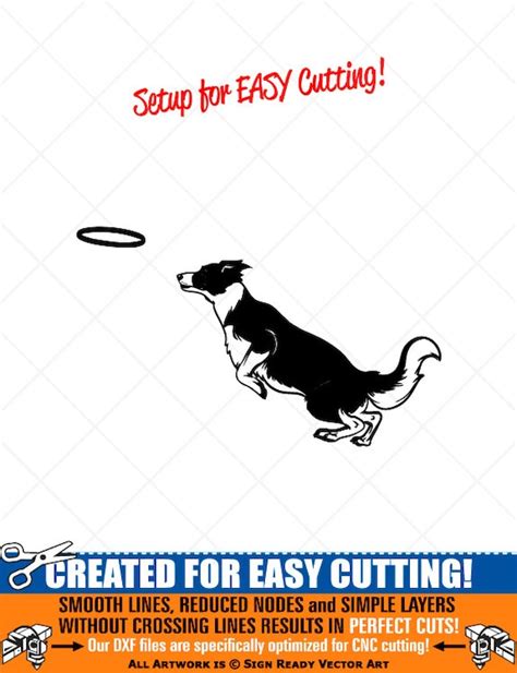 Border Collie Jumping Frisbee Dog Clipart Vector Clip Art Etsy