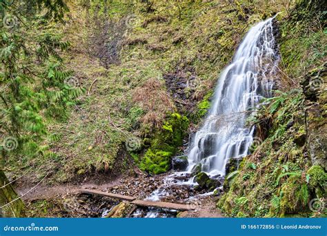 Fairy Falls In The Columbia River Gorge Usa Stock Photo Image Of