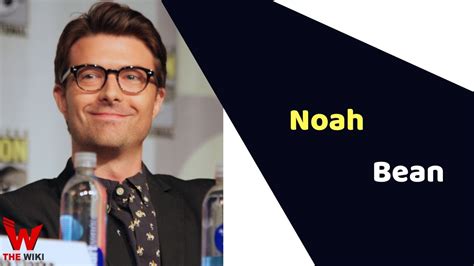 Noah Bean Actor Height Weight Age Affairs Biography And More