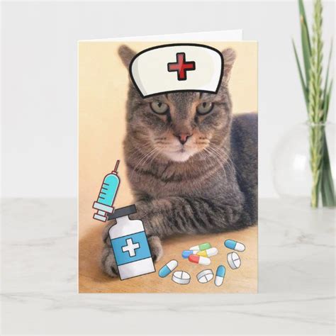 Funny Cat Medical Get Well Card Funny Cats Get Well