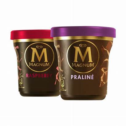 Magnum Ice Cream Tub Pint Tubs Praline