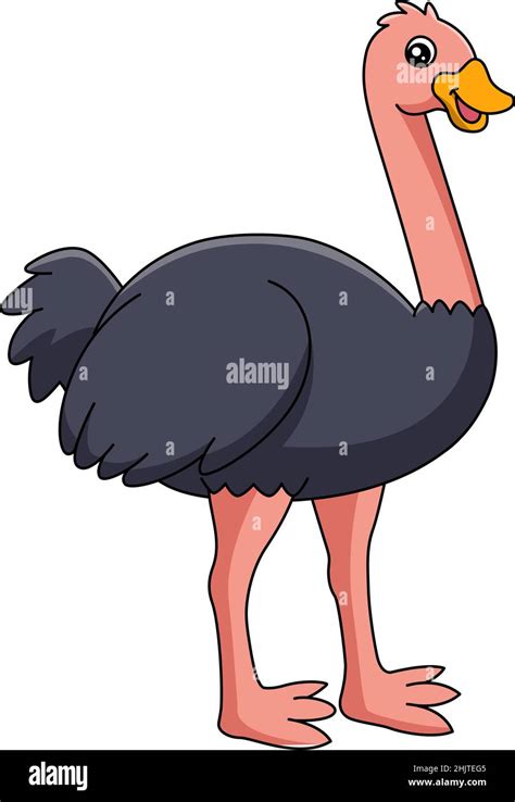 Ostrich Cartoon Clipart Vector Illustration Stock Vector Image And Art