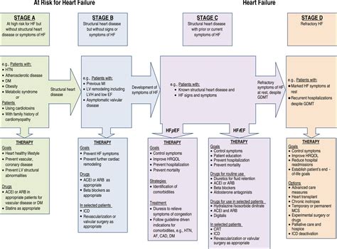 Stages In The Development Of Hf And Recommended Therapy Grepmed