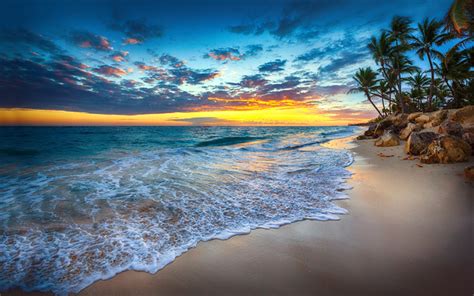 Download Wallpapers Tropical Islands Ocean Golden Sunset Beach Palm