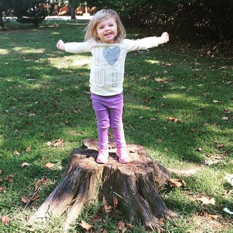 Amy On Instagram A Tree Stump Tree Stump Tree Stumped