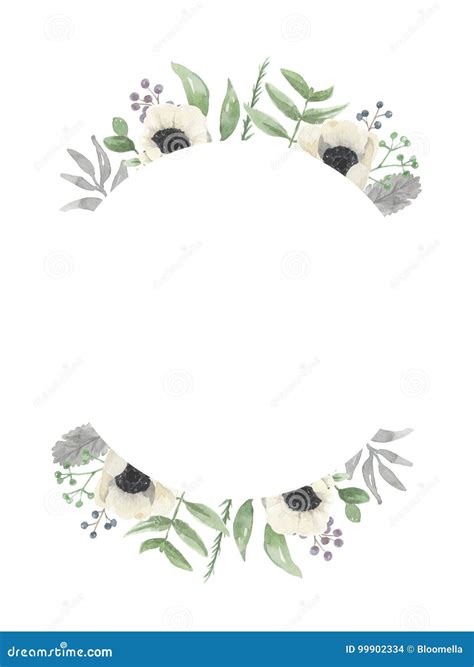 Watercolour Circle Winter Flower Hand Painted Berries Frame Stock