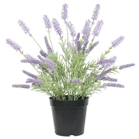 Designerplants 40cm Potted Faux Lavender Plant Temple And Webster