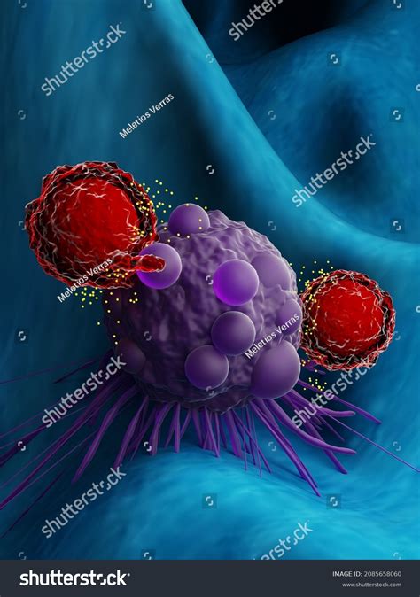 3d Illustration T Cells Attacking Cancer Stock Illustration 2085658060