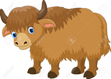 Cute Yak Clipart 20 Free Cliparts Download Images On Clipground 2024