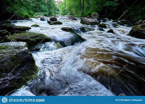 Tranquil River Surrounded By Lush Green Mossy Forests Is Pictured With