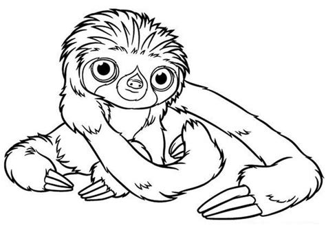 Baby Sloth Coloring Page: Baby Sloth Coloring Page – Color Luna