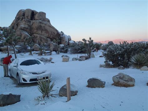 Joshua Tree National Park Things To Do Trails Of