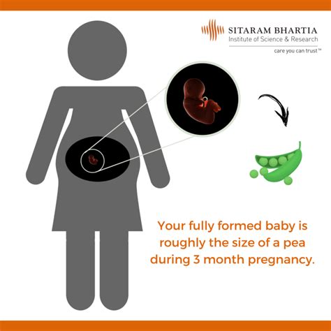3 Month Pregnancy Changes In Your Baby And You Sitaram Bhartia Blog