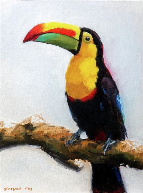 Toucan Oil Painting Oil On Canvas 10 X 12 Inch Painting By Shreyas