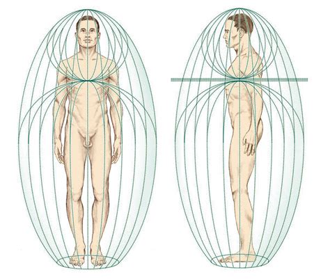 Biofield tools to view the chakras, meridians, nadis and acupuncture points. The Intersection of BioEnergetics & Health - Naturopathic ...