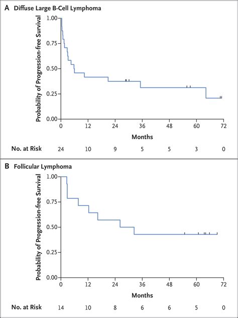 Five Year Outcomes For Refractory B Cell Lymphomas With Car T Cell